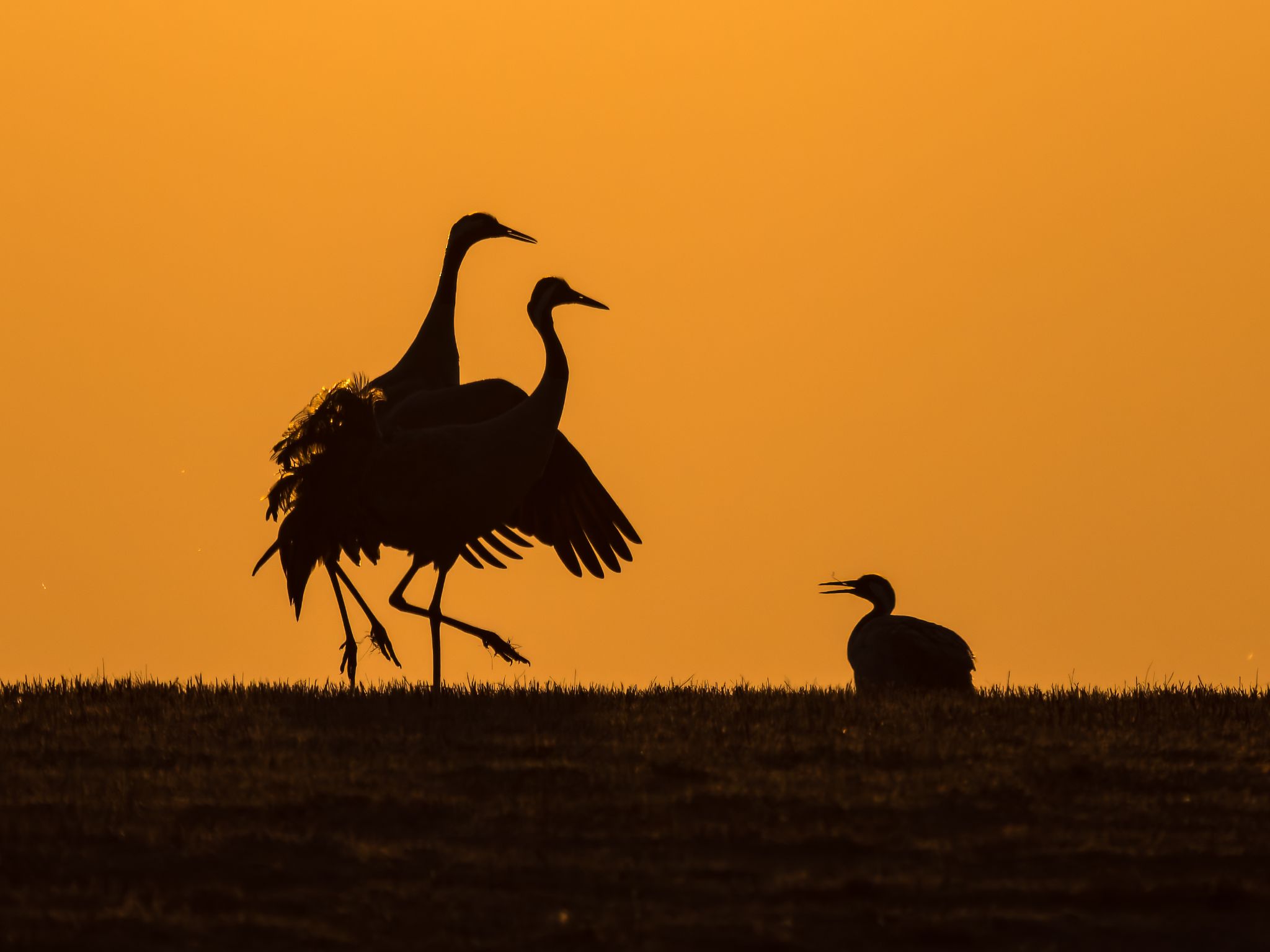 008 250324 0635 H  1HR0266 DxO DeepPRIME XD2s